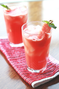 Watermelon Punch | Perpetually Chic