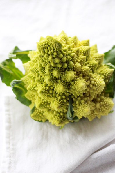 romanesco-1