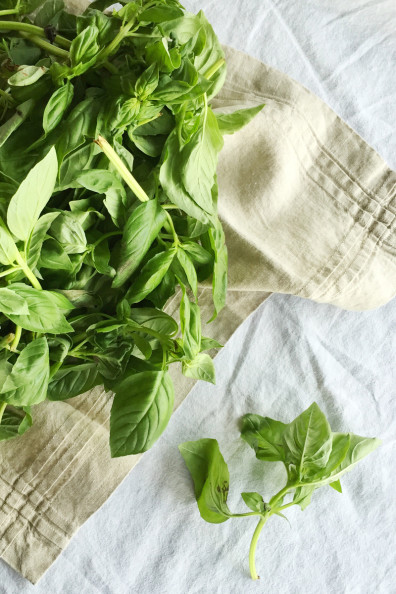 Homemade Pesto | Perpetually Chic