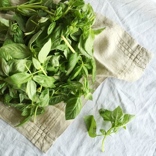 Homemade Pesto | Perpetually Chic